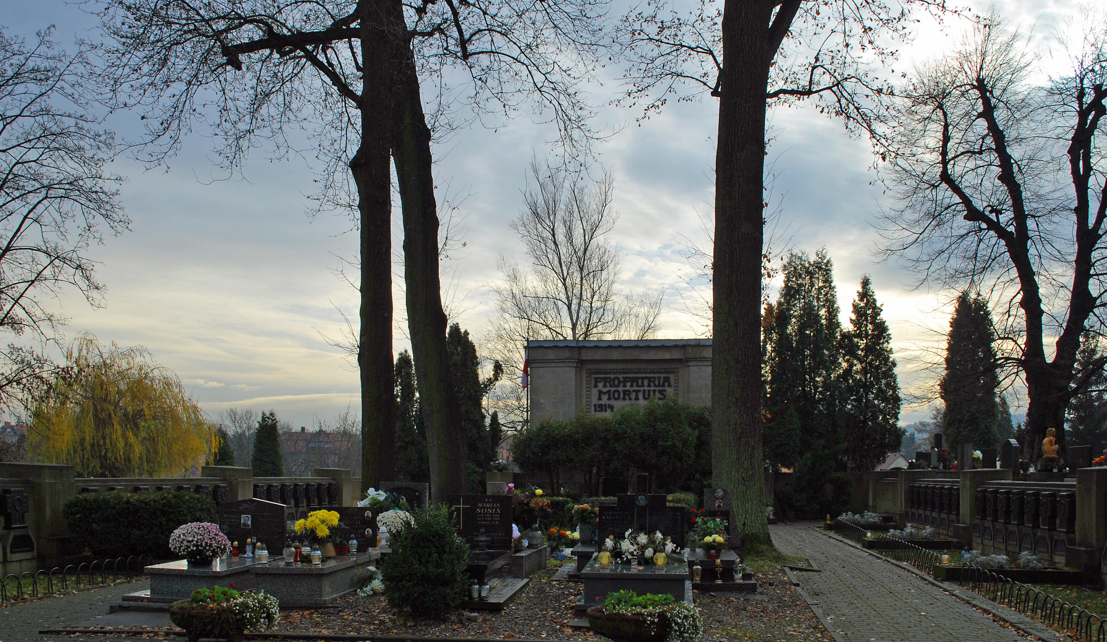 Cmentarz wojenny nr 381